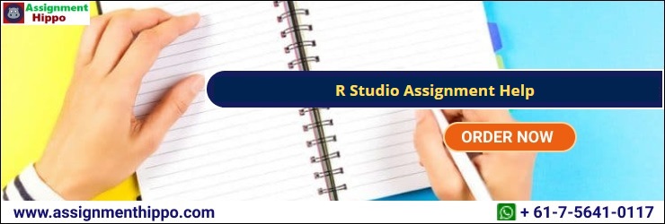R Studio Assignment Help 2