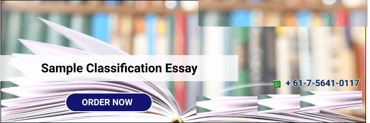 Sample classification essay