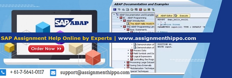 SAP Logon Assignment Help