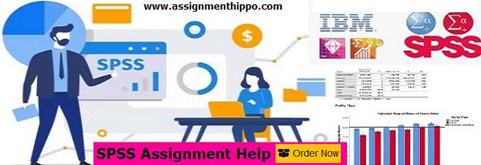 SPSS Assignment Help