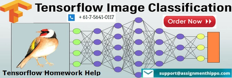 Tensorflow Homework Help