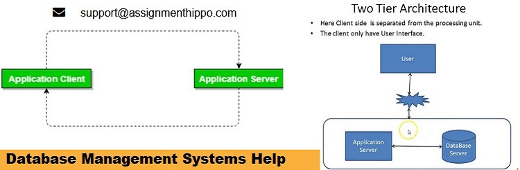 Database Management Assignment Help