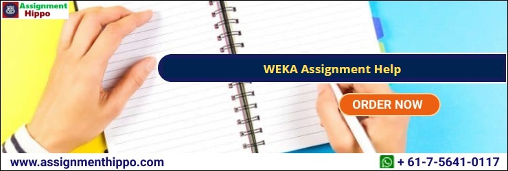 WEKA Assignment Help