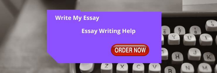 Write My Essay Assignment