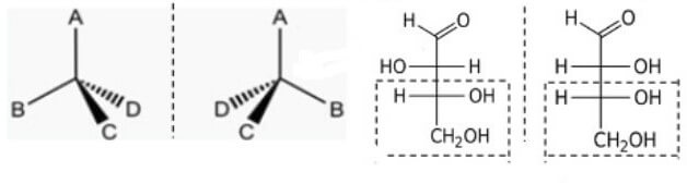 CBB042 Organic Chemistry Reactions and Mechanisms Image 2