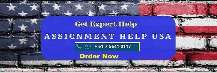 Online Assignment Help USA