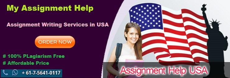 Assignment Help USA