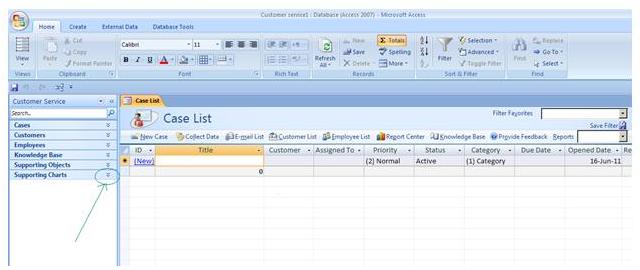 MS Access Case List