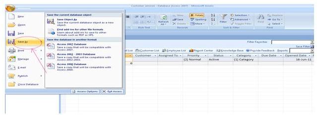 MS Access Save Your Database