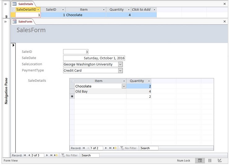 AC2019 Capstone Level 2 Working with a Sales Database Solution Image 2