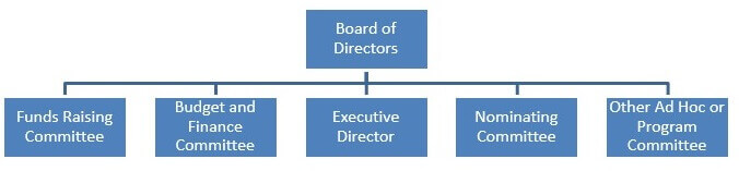 Organization Structure of NPO