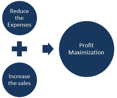 profit maximization