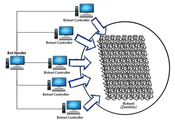 Architecture of a Botnet