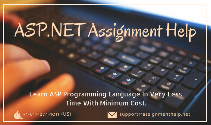 ASP Assignment Help