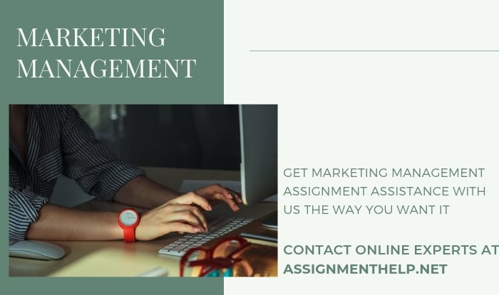 Assignment Help Marketing Management