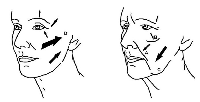 assignment on ageing assignment on ageing