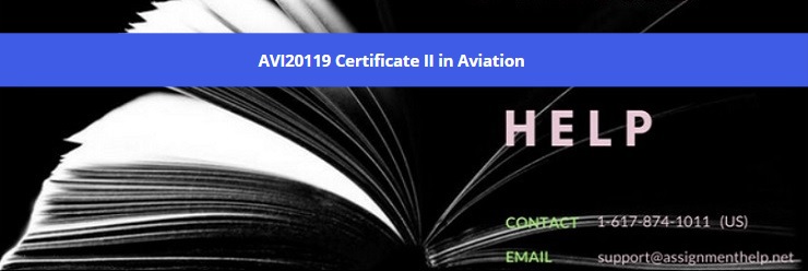 AVI20119 Certificate II in Aviation