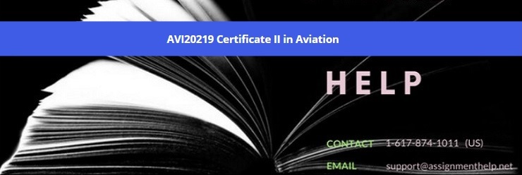 AVI20219 Certificate II in Aviation