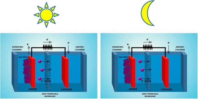 Bacteria Powered Solar Cell img8