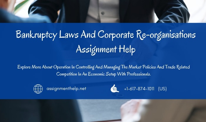 Bankruptcy Laws Assignment Help