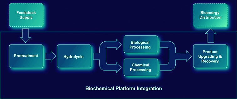 biotechnology Assignment Help with biochemical process