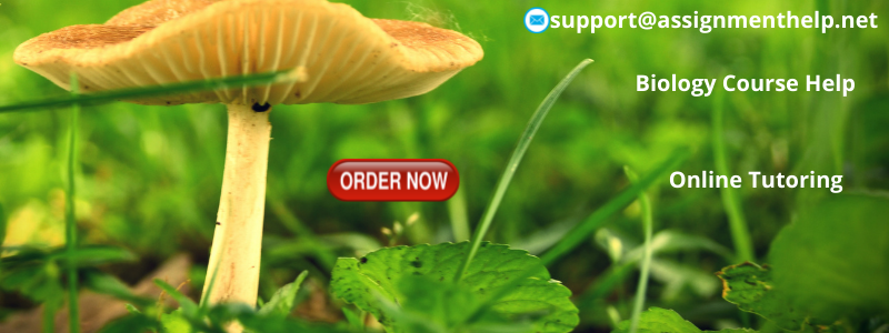 Biology Assignment Help Biology Assignment Help