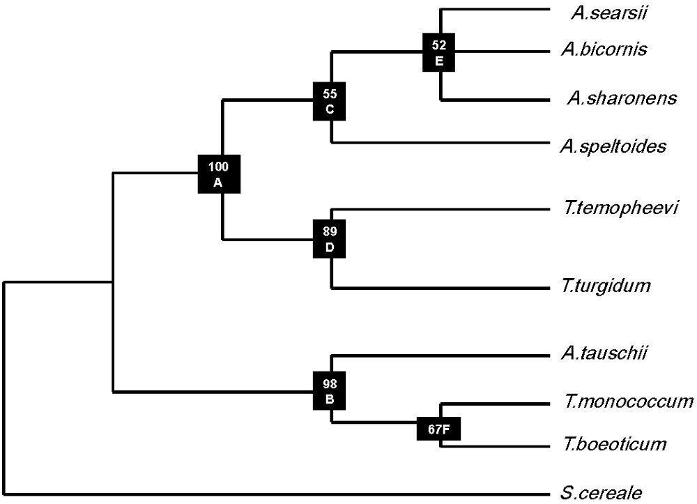 biomolecules-biochemical code