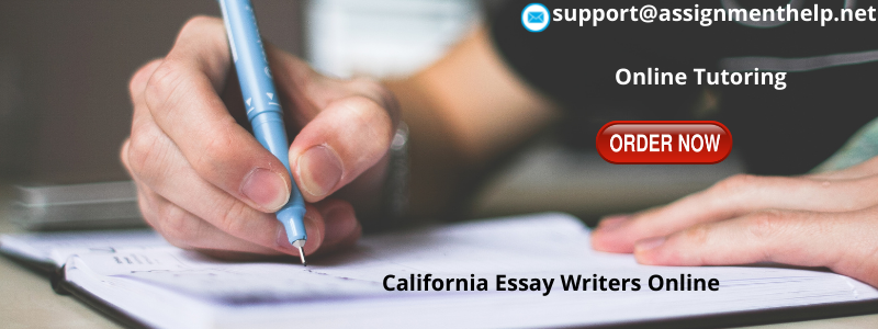California Essay Writers Online