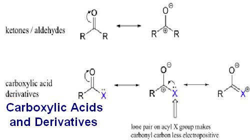 Carboxylic Acids and Derivatives Assignment Help