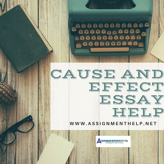 Cause and Effect Essay Help