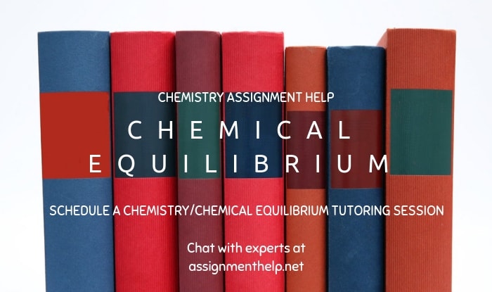 Chemical Equilibrium Assignment Help