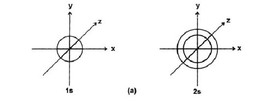 Magnetic Quantum No (m)