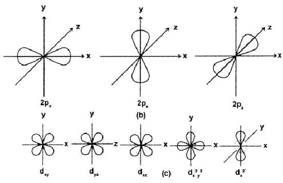 Magnetic Quantum No (m)