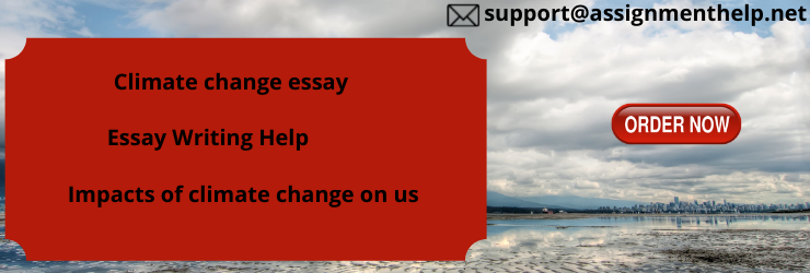 Climate change essay