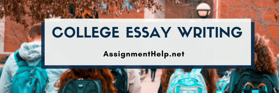 College Essay Writing