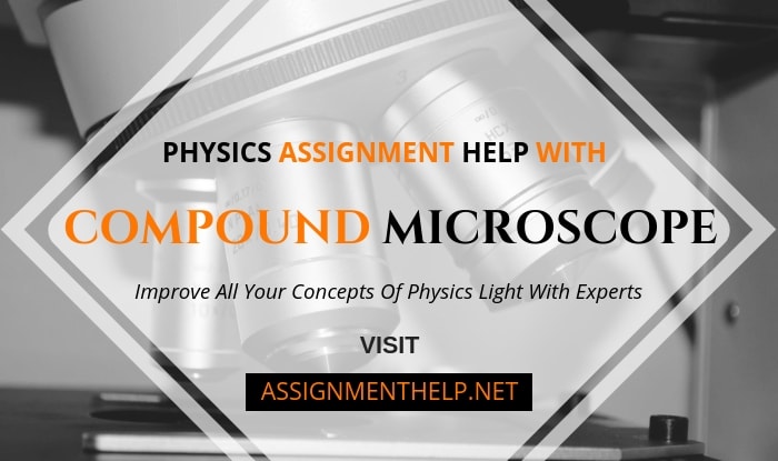 Compound Microscope Assignment Help