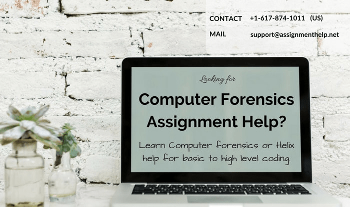 Computer Forensics Assignment Help Computer Forensics Assignment Help