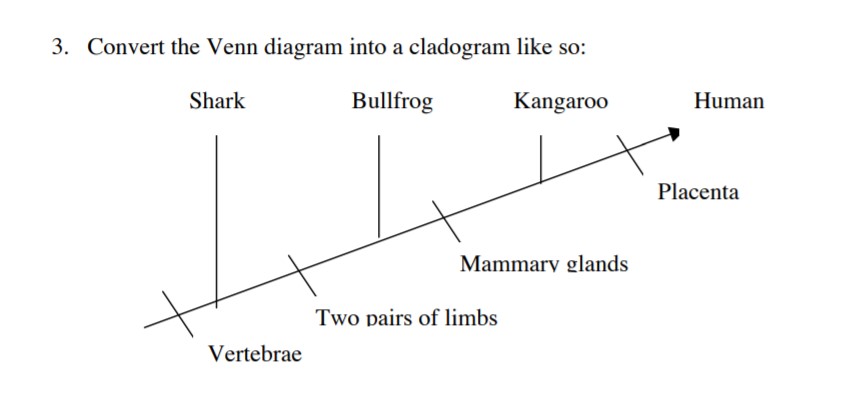 Convert the venn diagram into a cladogram