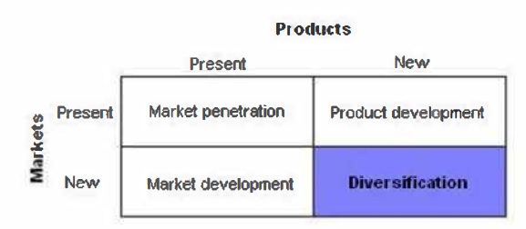 Corporate strategy directions