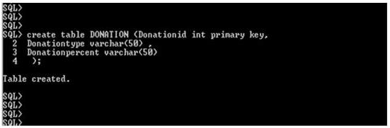 create table donation