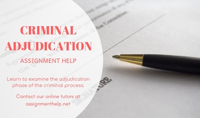 Criminal Adjudication Assignment Help