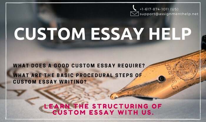 Custom Essay Help