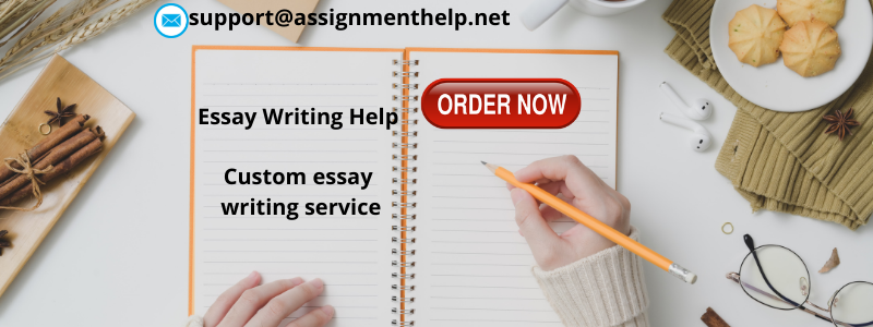 Custom essay writing service