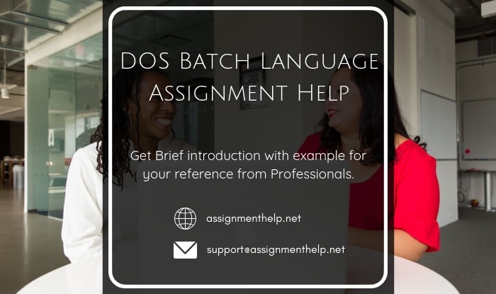 DOS Batch Language Assignment Help