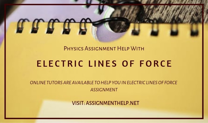 Electric Lines Of Force Assignment Help