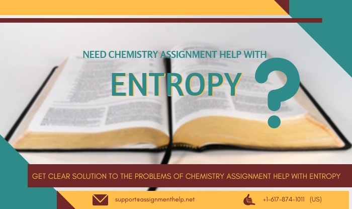 Entropy Assignment Help