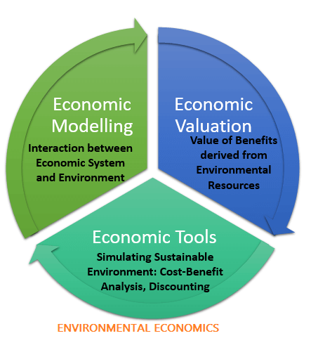 Environmental Economics