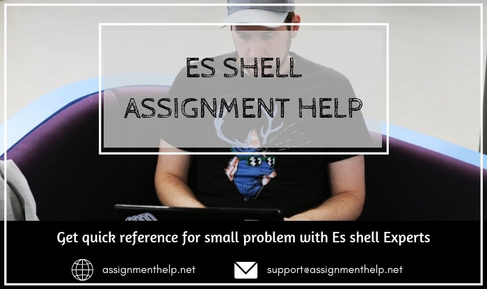 Es shell Assignment Help