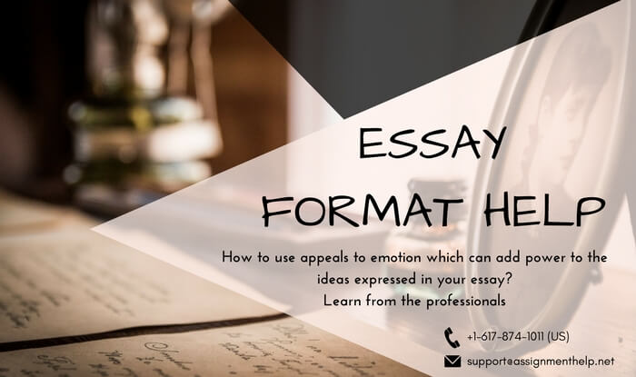 Essay Format Help