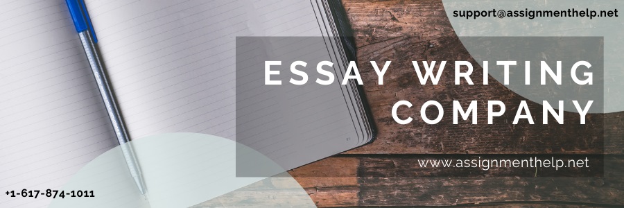 Essay writing company